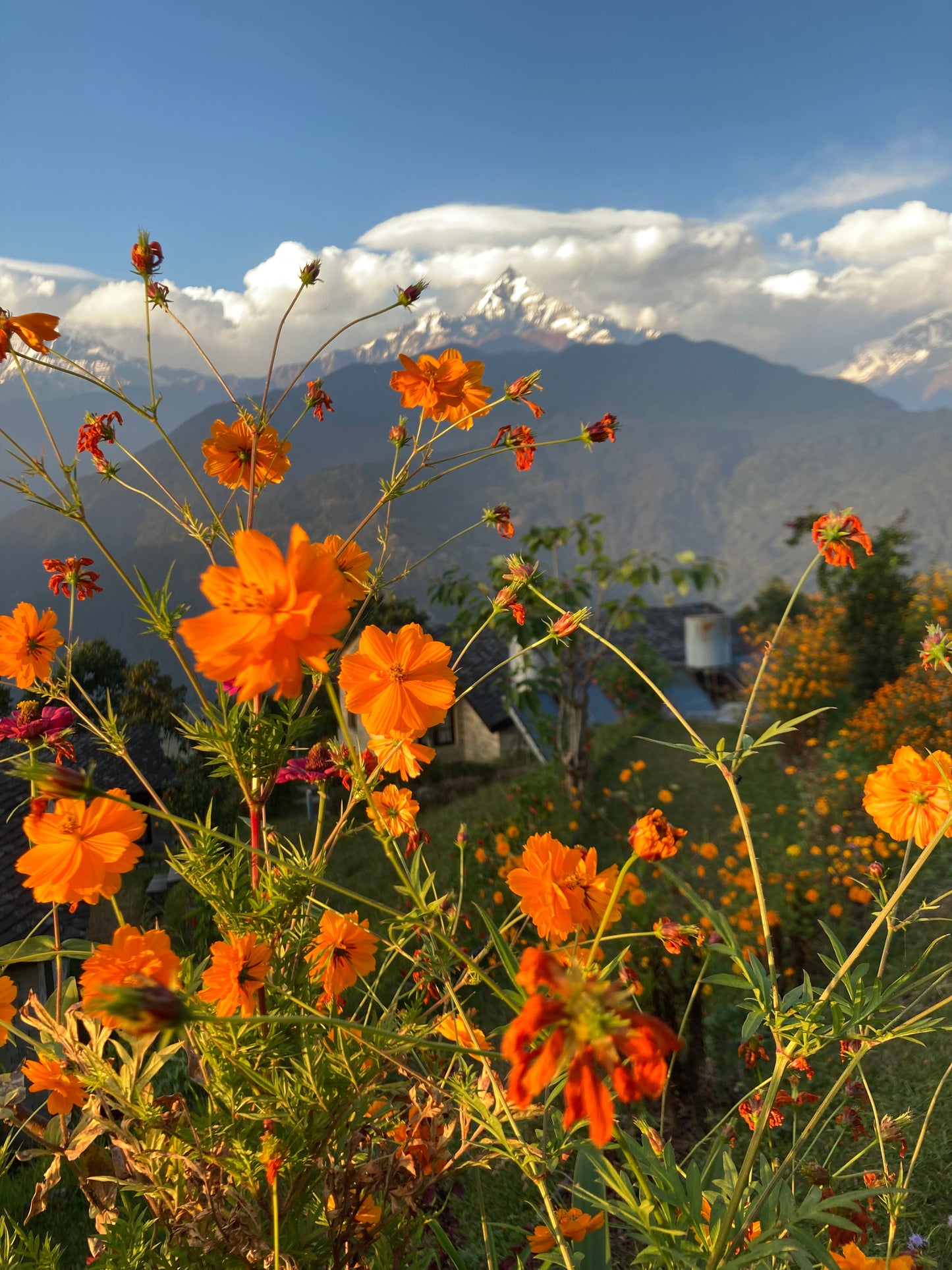 Silent Spring in Nepal:Yoga in the Majestic Annapurna Range